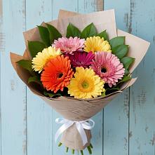 Букет цветов из:  Герберы в Ачхой-Мартане