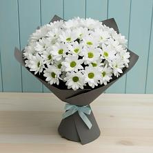 Букет цветов из:  Хризантемы в Ачхой-Мартане