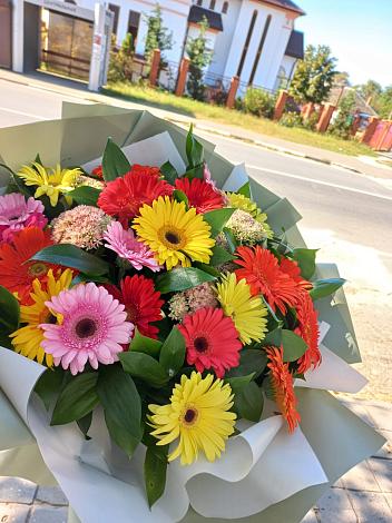 Букет цветов из: Герберы в Ачхой-Мартане